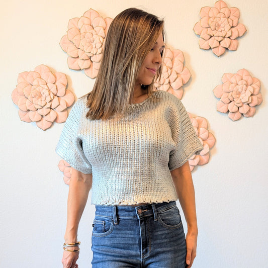 silver short sleeve cropped sweater